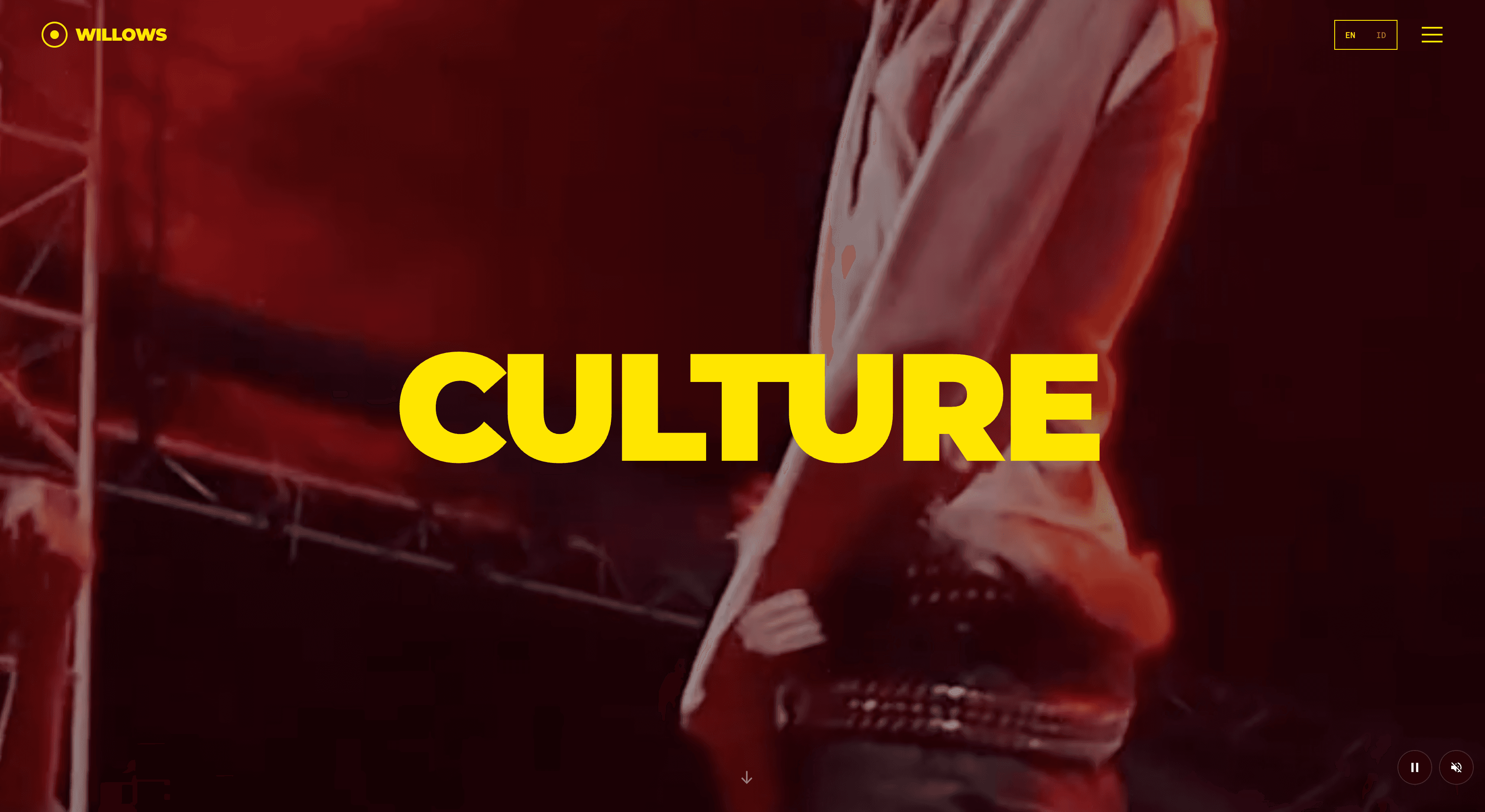 Willows Media Group - Willows Media Group