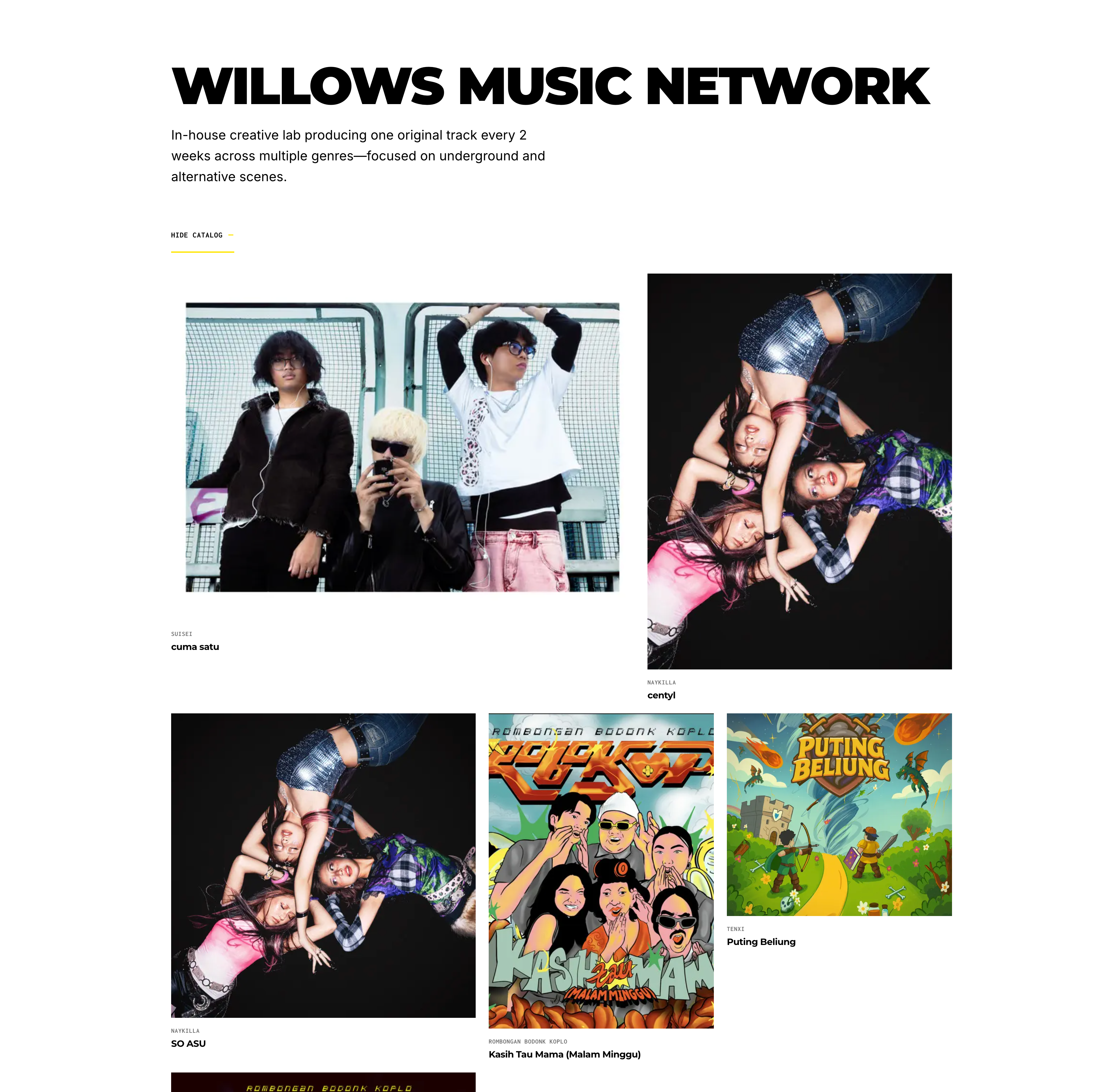 Homepage releases section